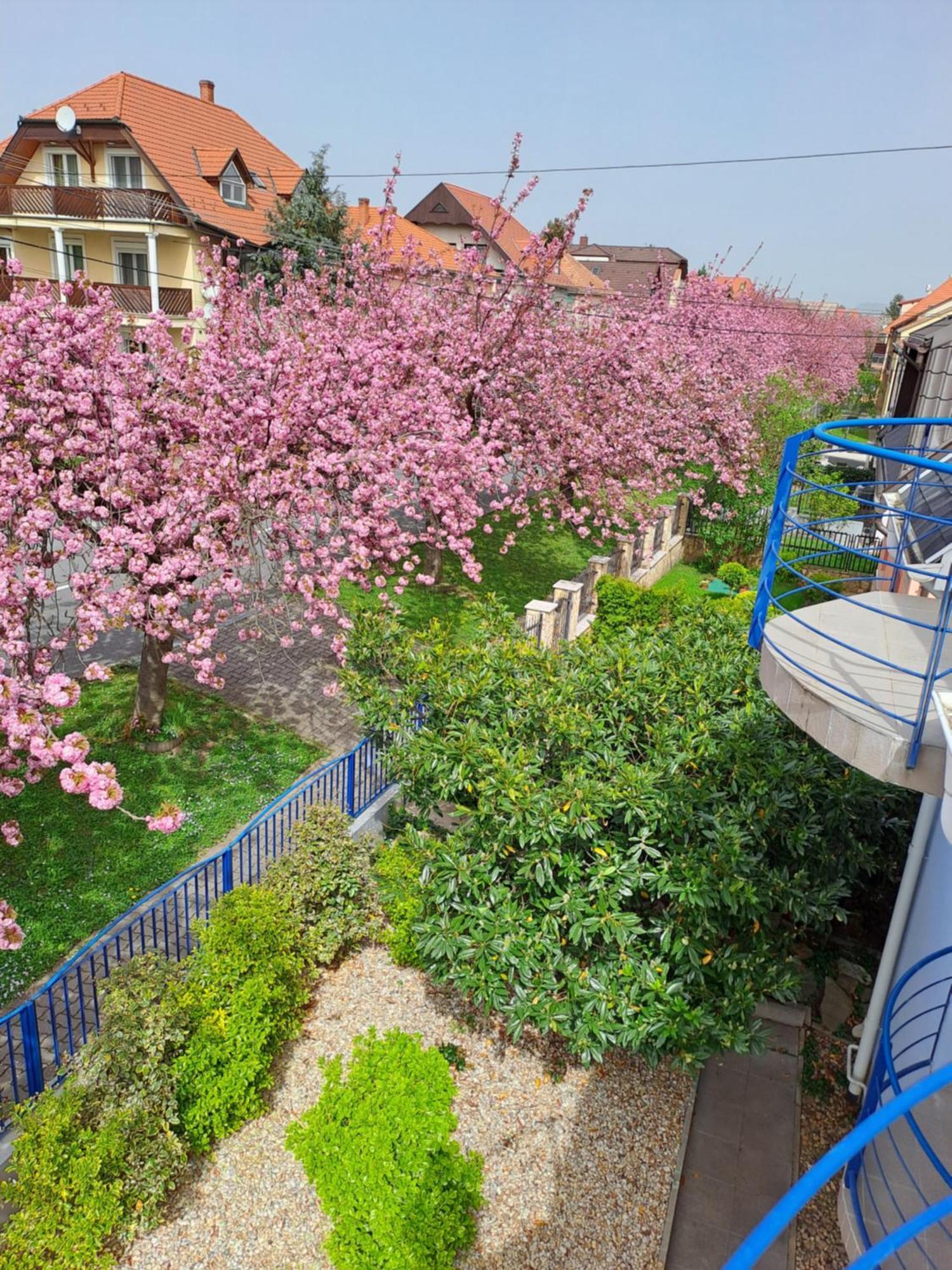 Laguna Apartmanház Hévíz Exterior foto